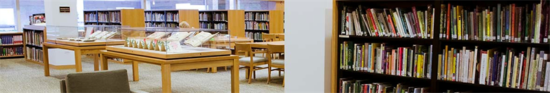 Interior of the Lenhardt Library